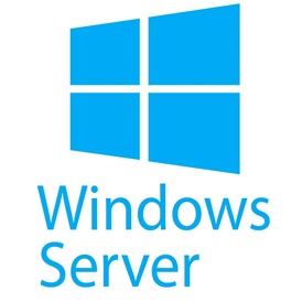 Microsoft R18-05832 Windows Server CAL 2019 Hungarian 1pk DSP OEI 5 Clt Device CAL