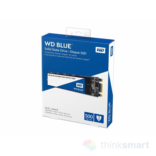 WD Blue 3D 500GB M.2 SSD