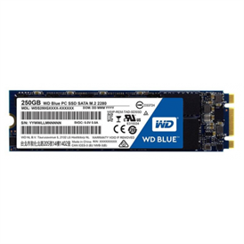 WD Blue 3D 250GB M.2 SSD